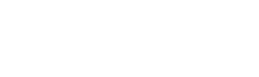 Visual Interiors Logo